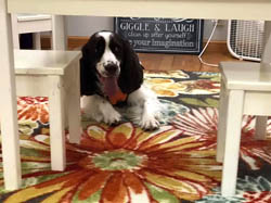 WV Power of Play Therapy Training Center